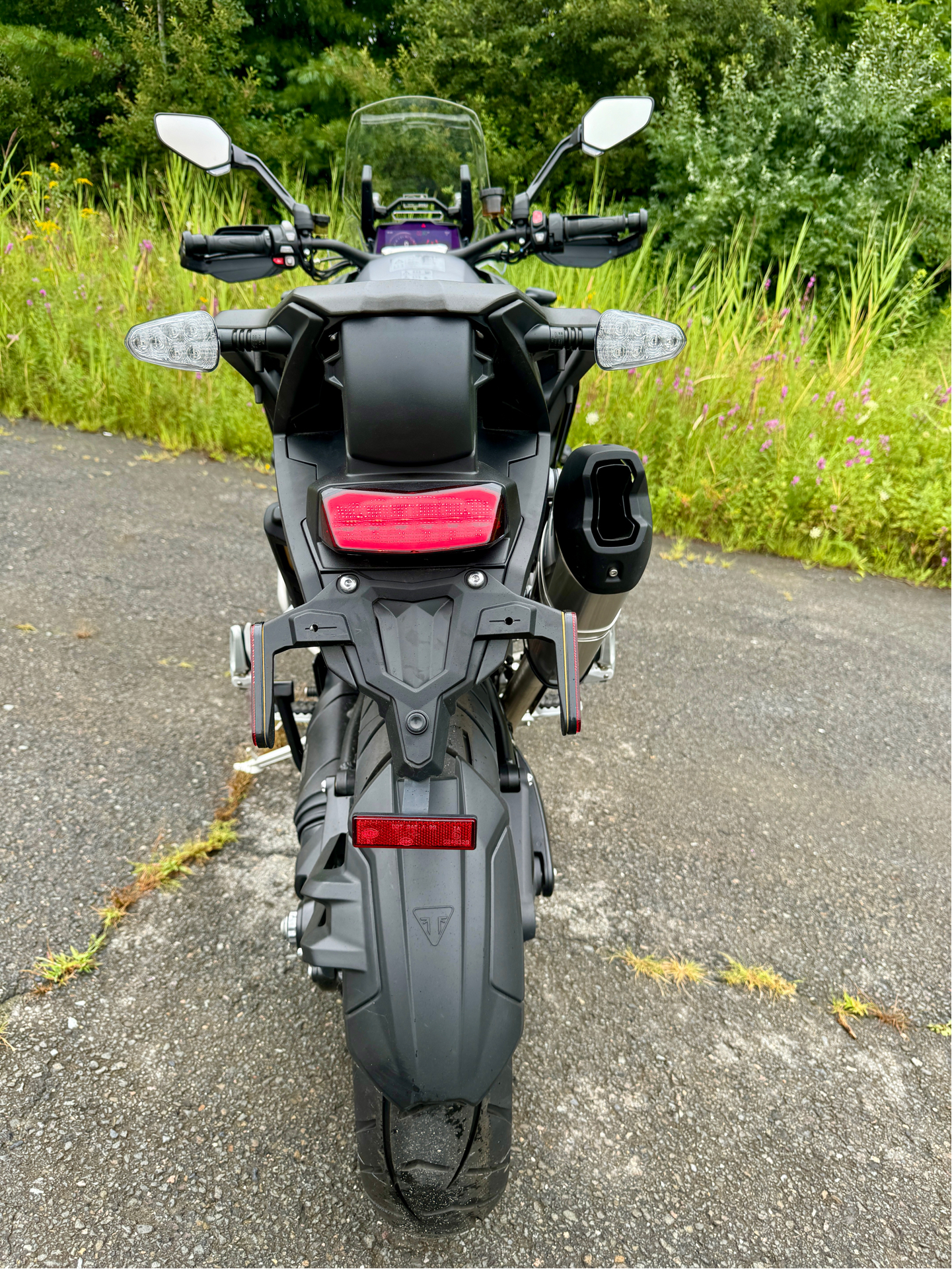 2023 Triumph Tiger 1200 GT Explorer in Foxboro, Massachusetts - Photo 20