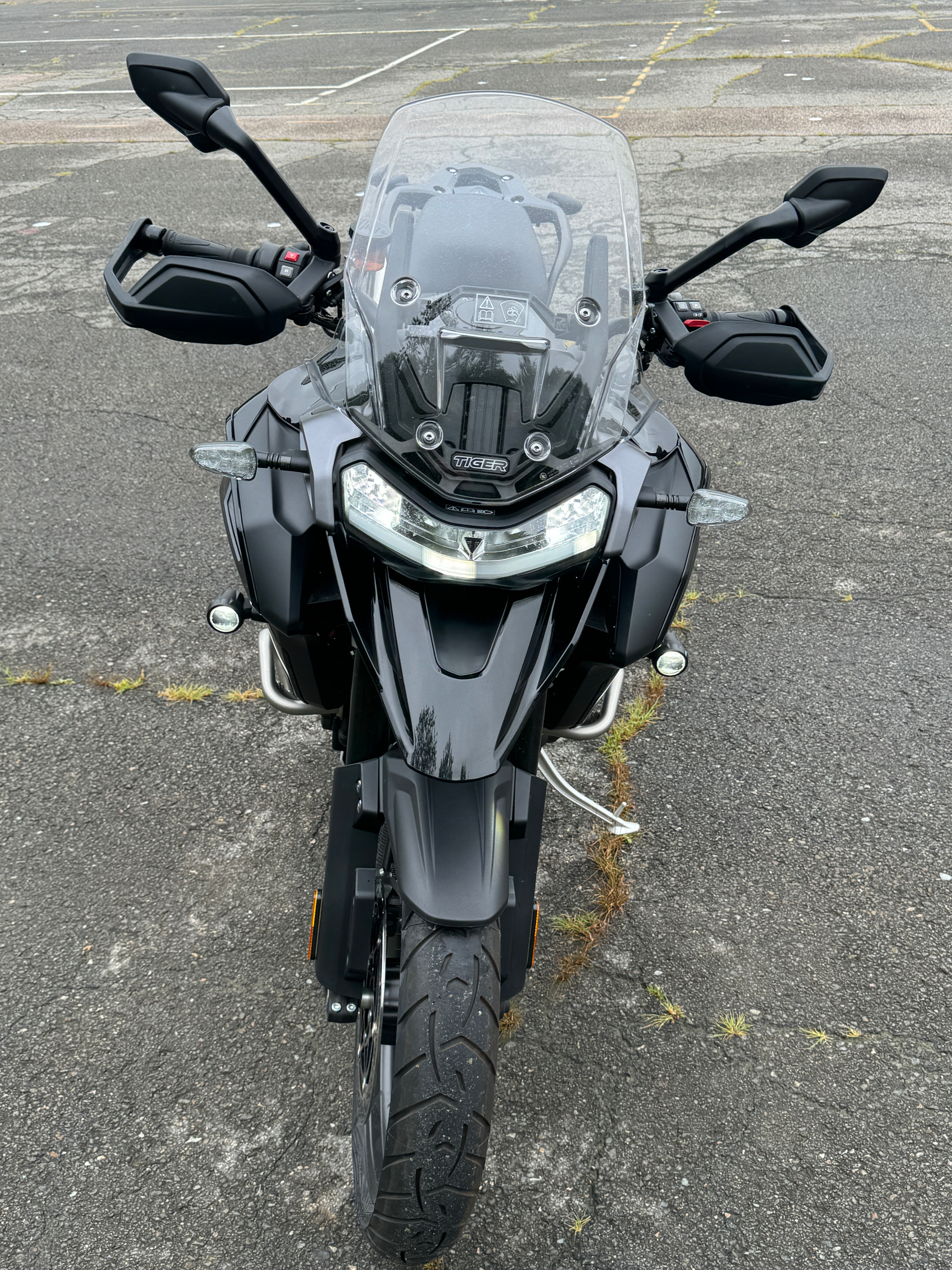 2023 Triumph Tiger 1200 GT Explorer in Foxboro, Massachusetts - Photo 9