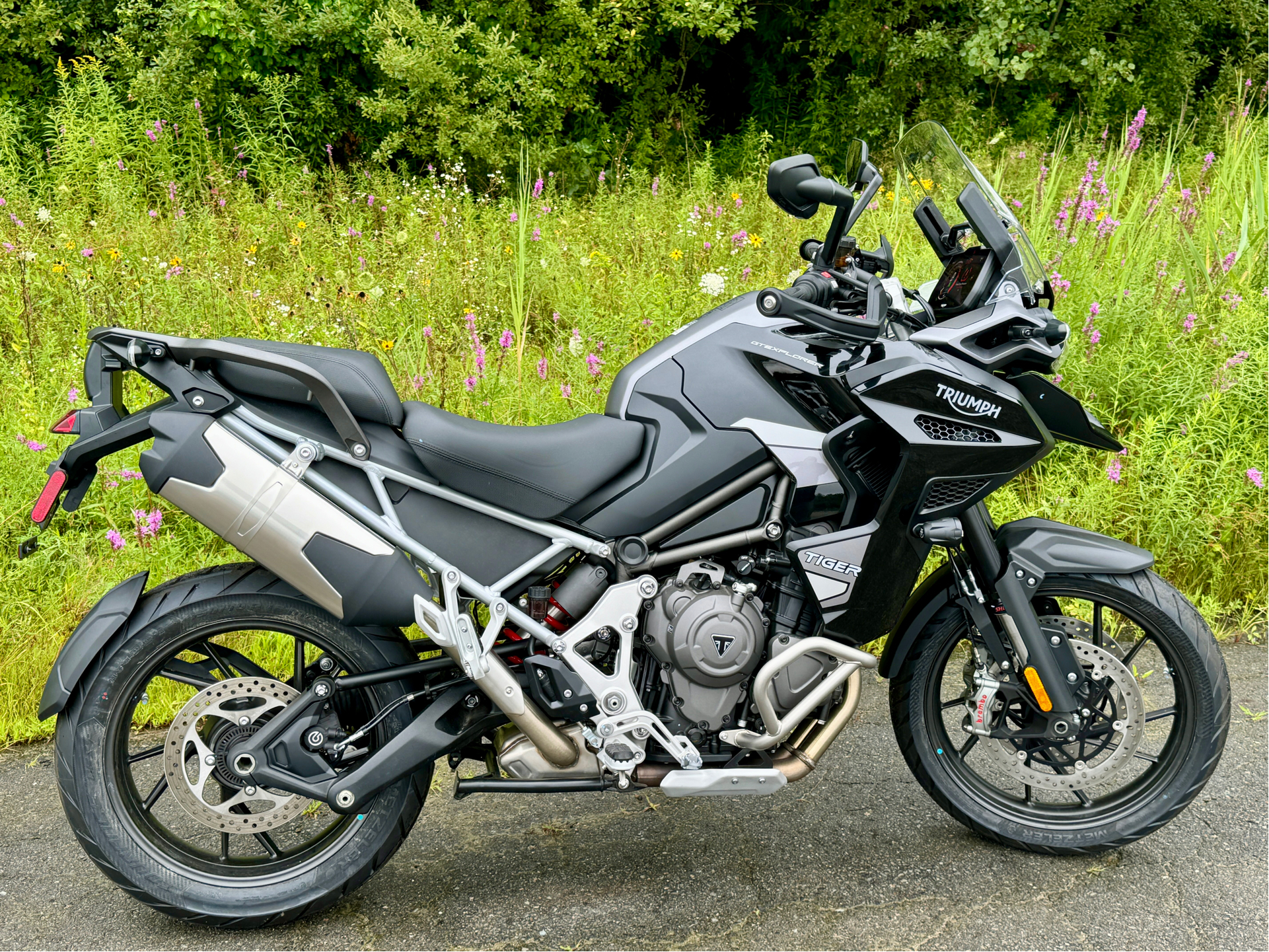2023 Triumph Tiger 1200 GT Explorer in Foxboro, Massachusetts - Photo 11