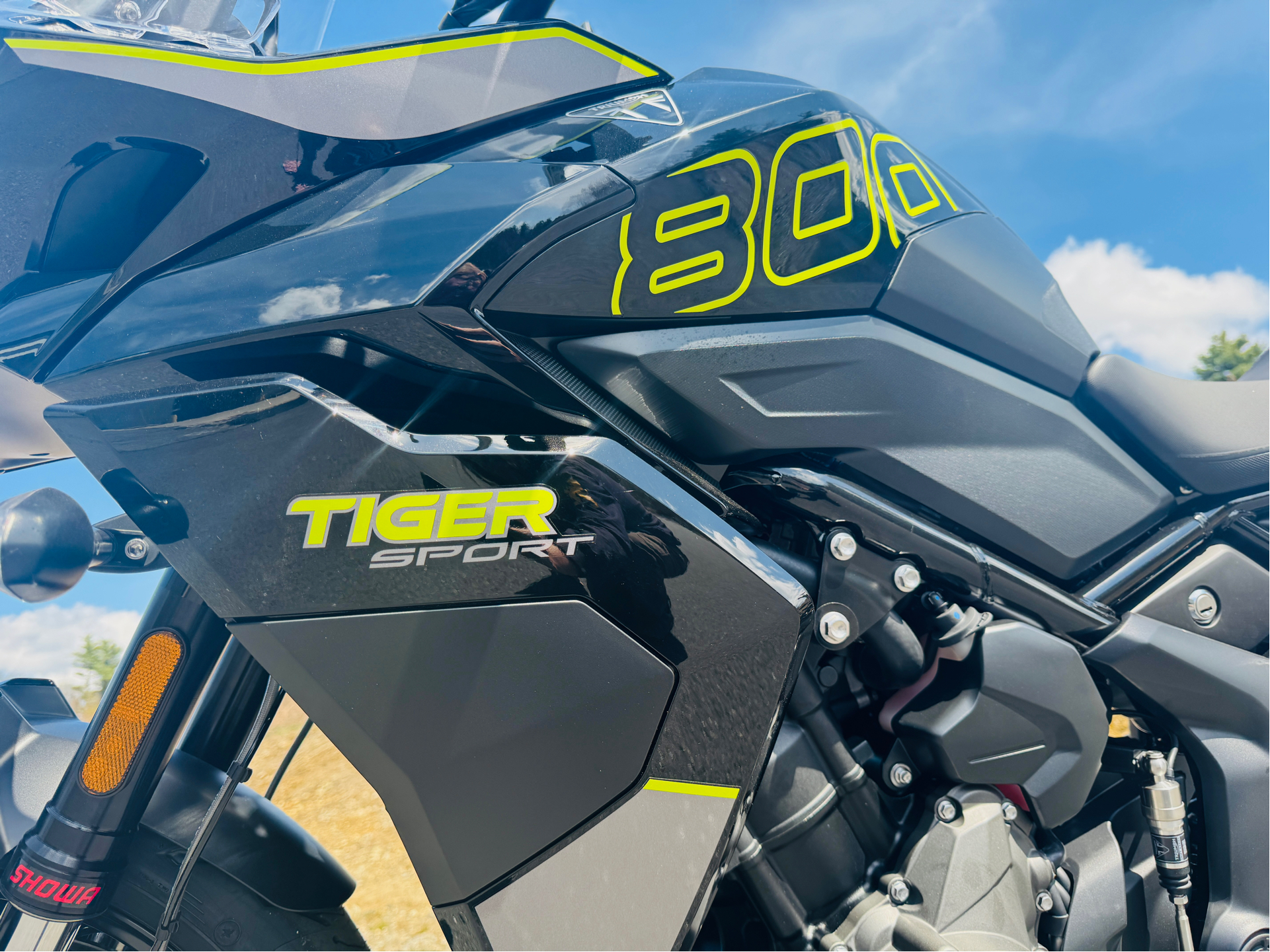 2025 Triumph Tiger Sport 800 in Foxboro, Massachusetts - Photo 14