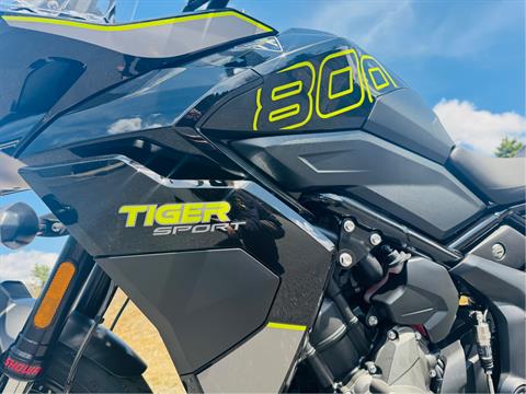 2025 Triumph Tiger Sport 800 in Foxboro, Massachusetts - Photo 14