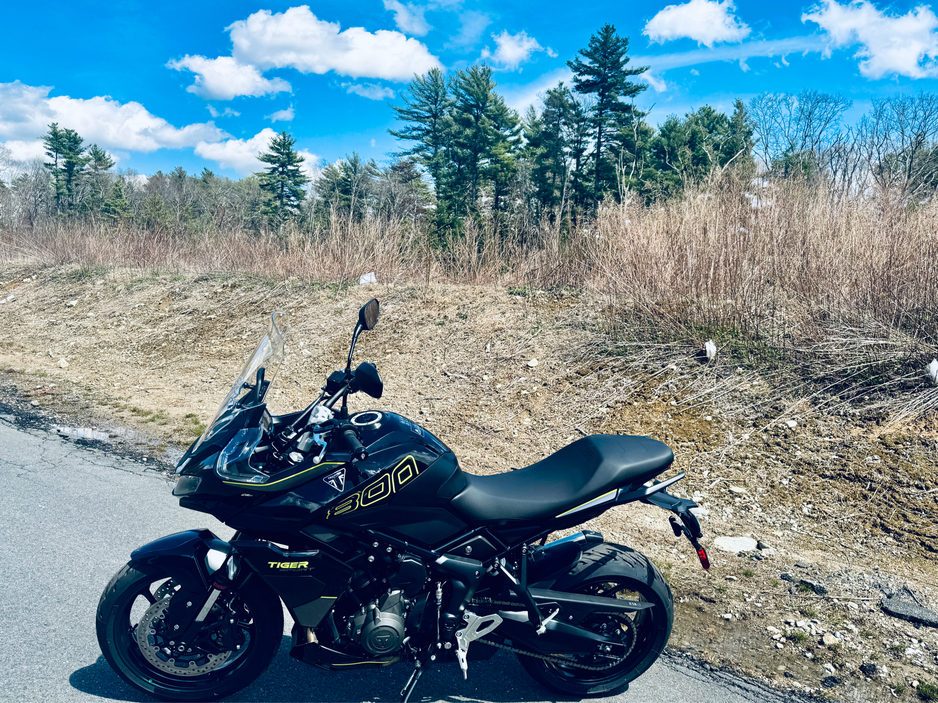 2025 Triumph Tiger Sport 800 in Foxboro, Massachusetts - Photo 10