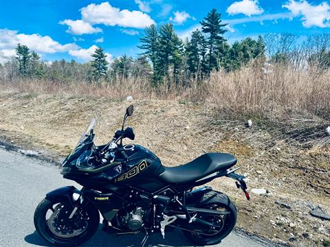 2025 Triumph Tiger Sport 800 in Foxboro, Massachusetts - Photo 10