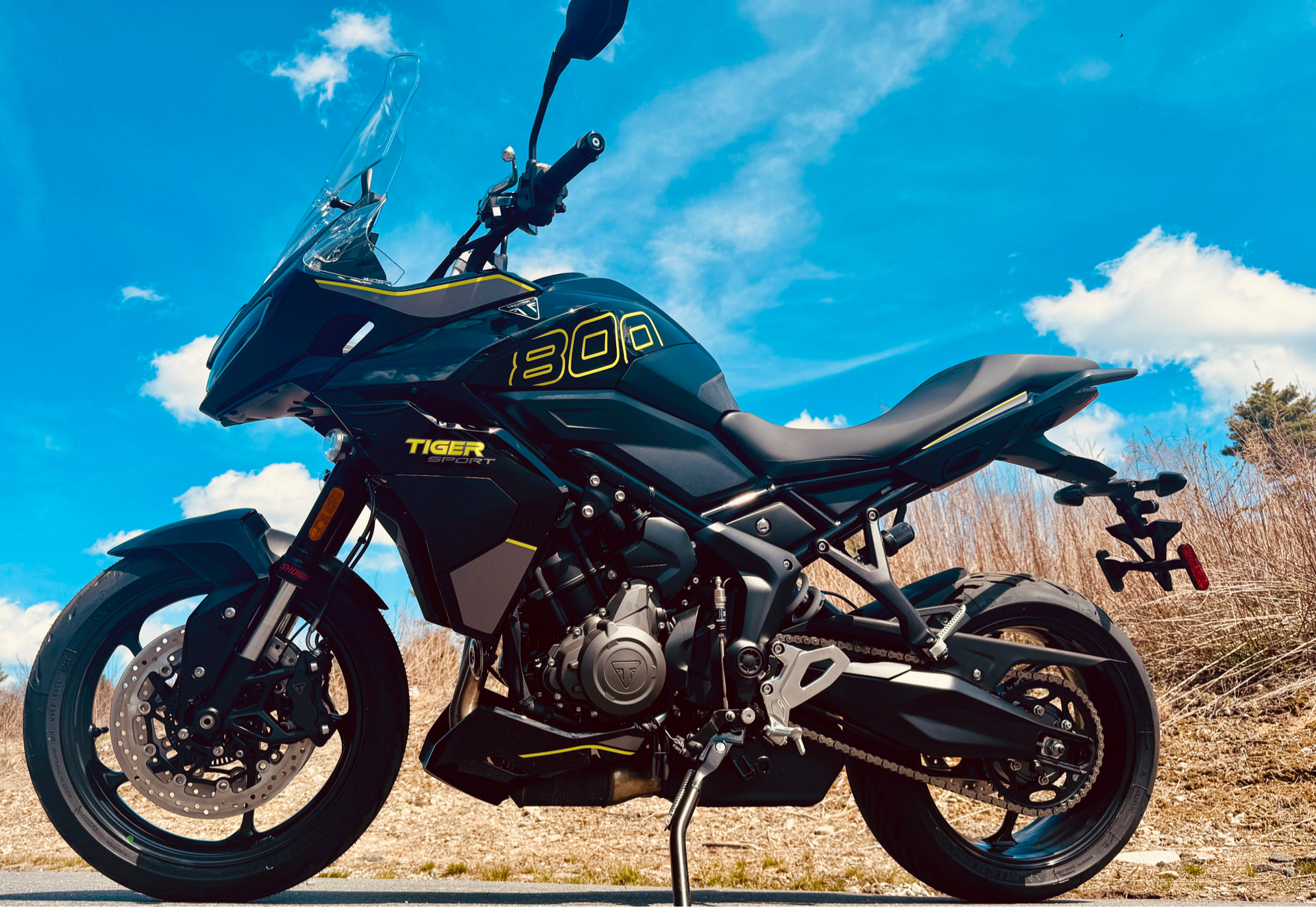2025 Triumph Tiger Sport 800 in Foxboro, Massachusetts - Photo 3