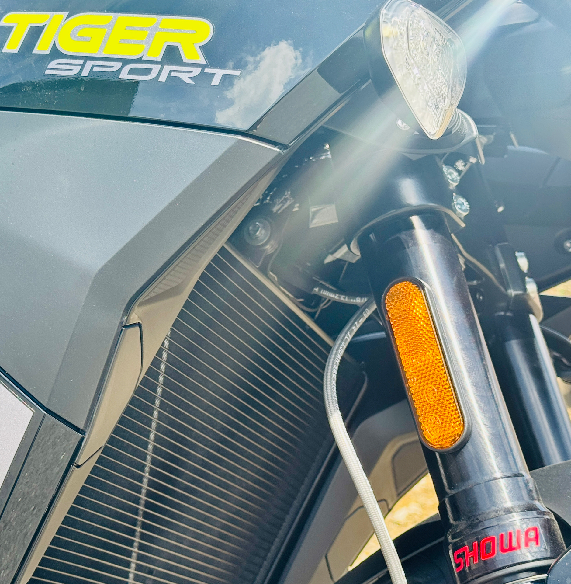 2025 Triumph Tiger Sport 800 in Foxboro, Massachusetts - Photo 2
