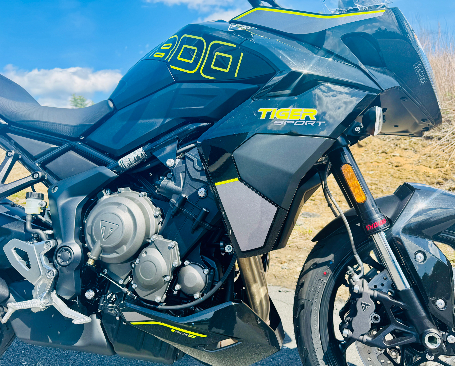 2025 Triumph Tiger Sport 800 in Foxboro, Massachusetts - Photo 14