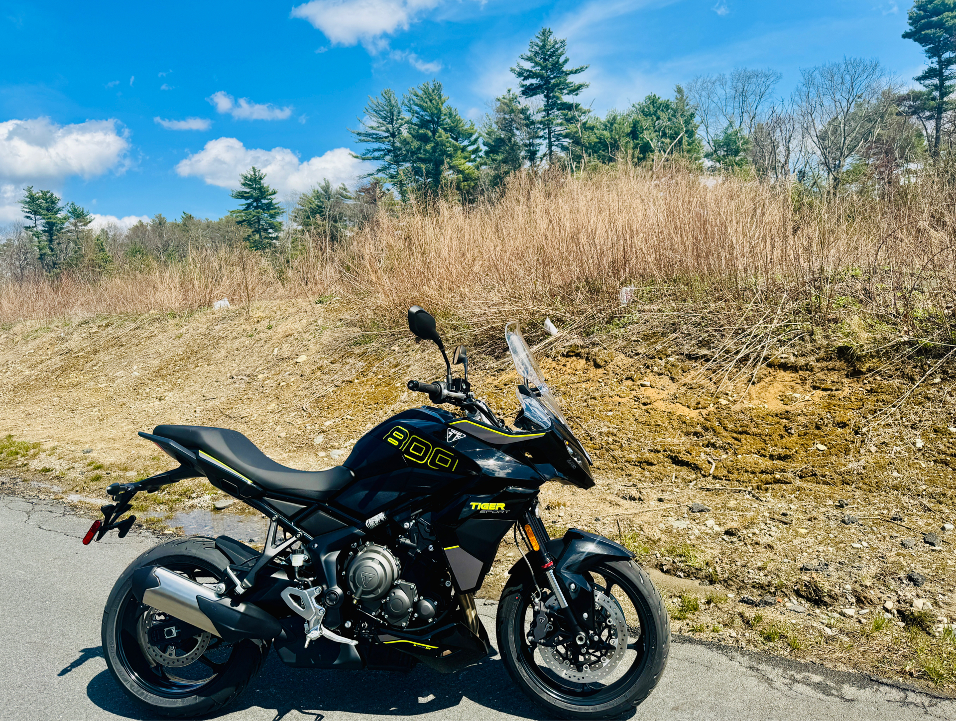 2025 Triumph Tiger Sport 800 in Foxboro, Massachusetts - Photo 12