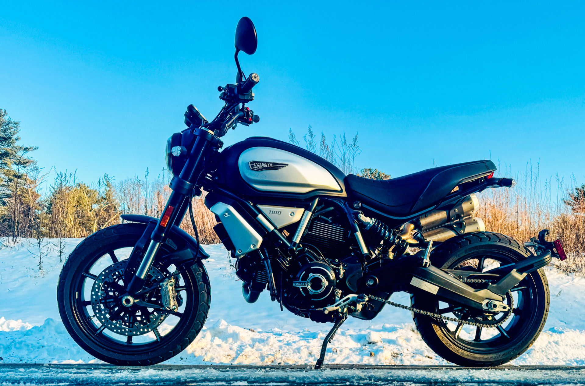 2023 Ducati Scrambler 1100 Dark PRO in Foxboro, Massachusetts - Photo 1