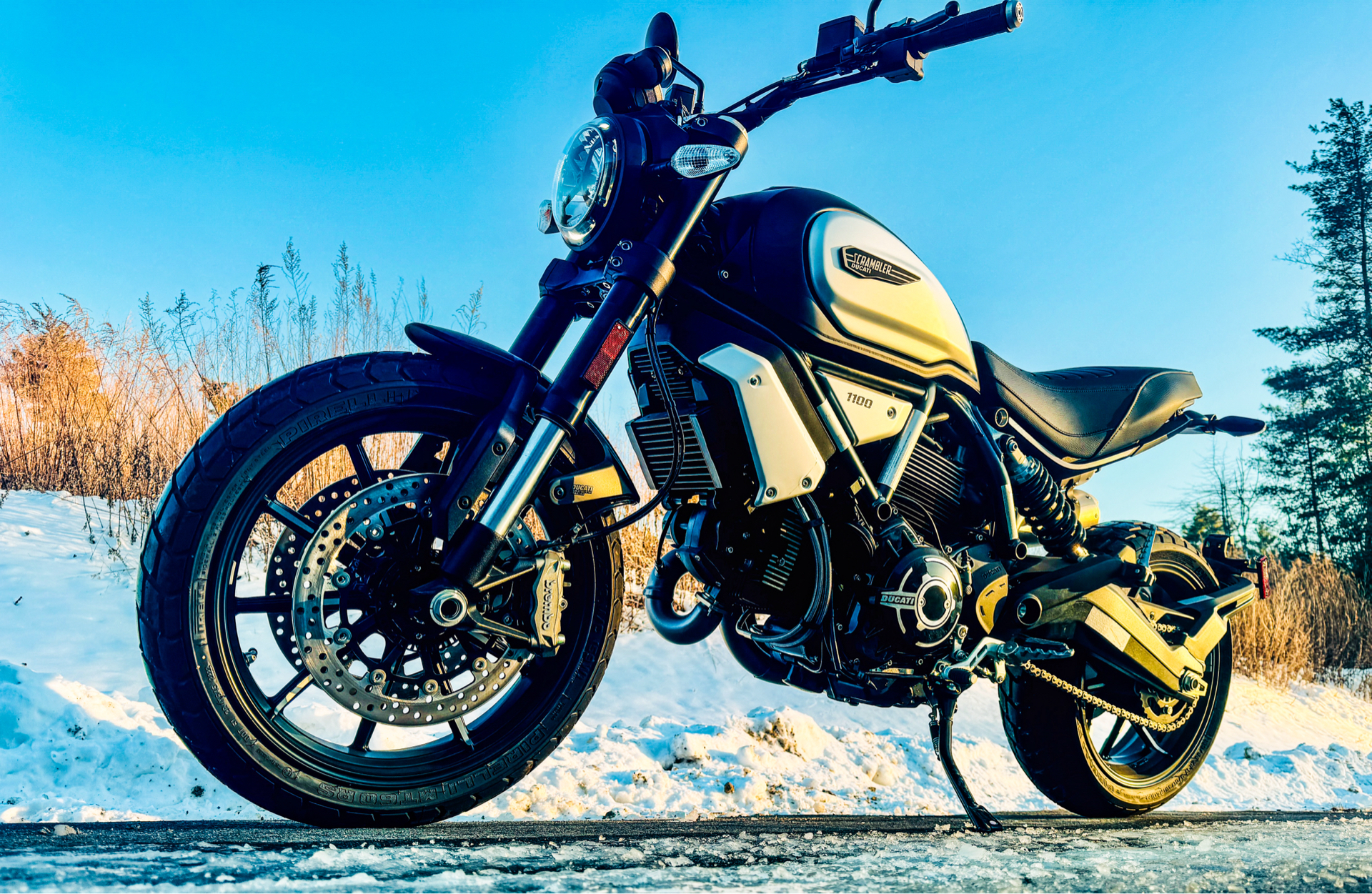 2023 Ducati Scrambler 1100 Dark PRO in Foxboro, Massachusetts - Photo 17
