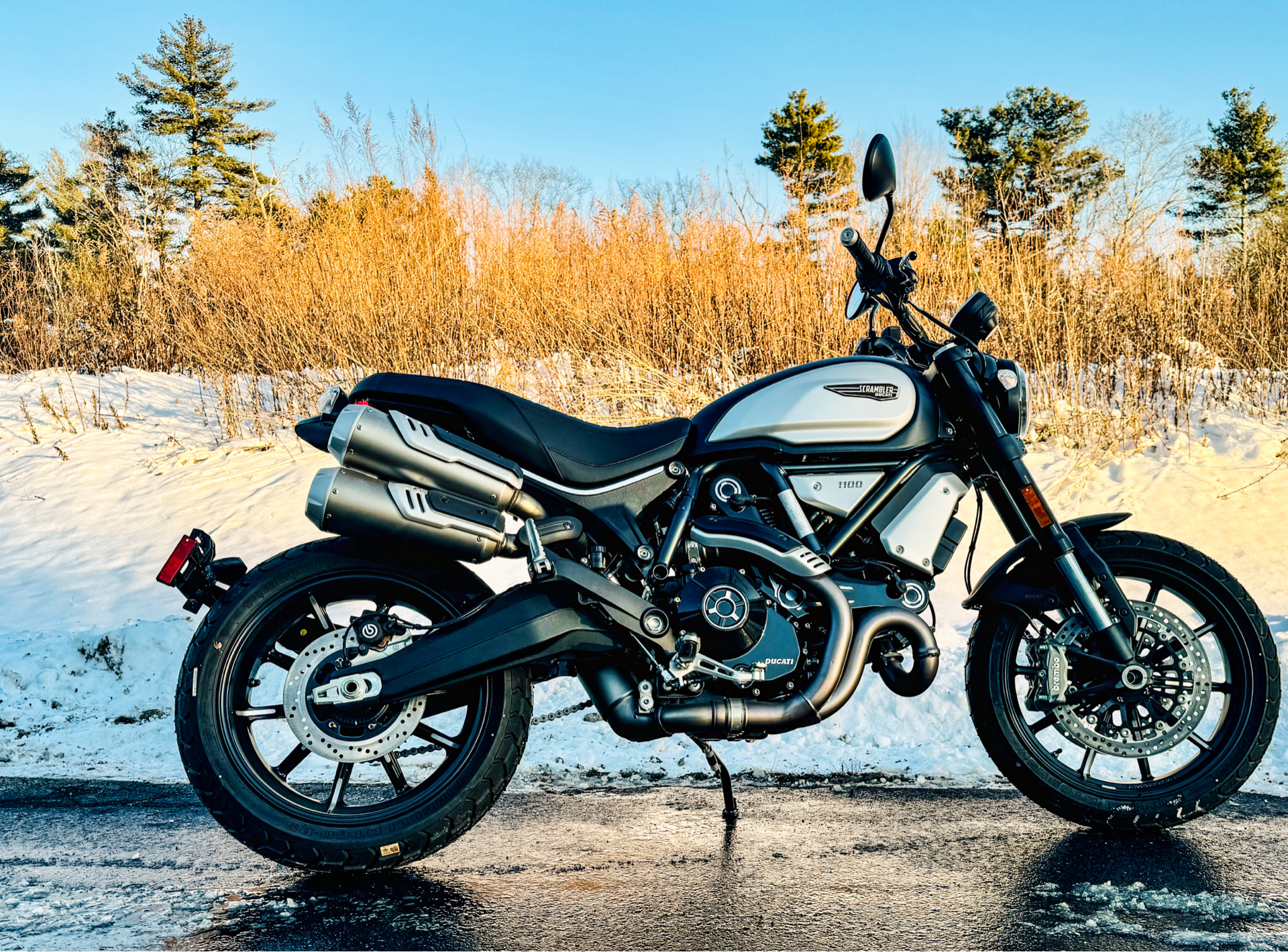 2023 Ducati Scrambler 1100 Dark PRO in Foxboro, Massachusetts - Photo 15