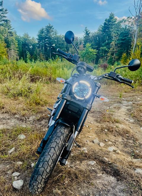 2023 Ducati Scrambler 1100 Dark PRO in Foxboro, Massachusetts - Photo 23