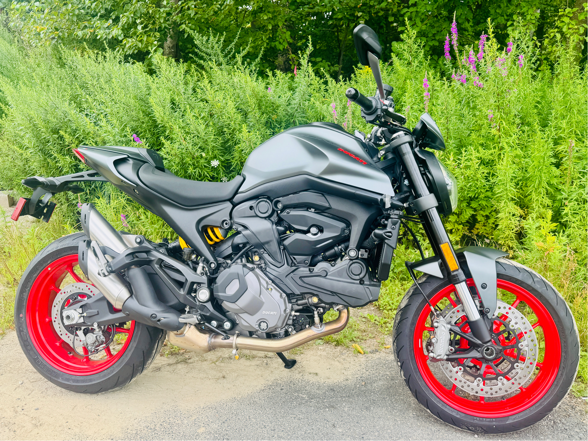 2025 Ducati Monster + in Foxboro, Massachusetts - Photo 1