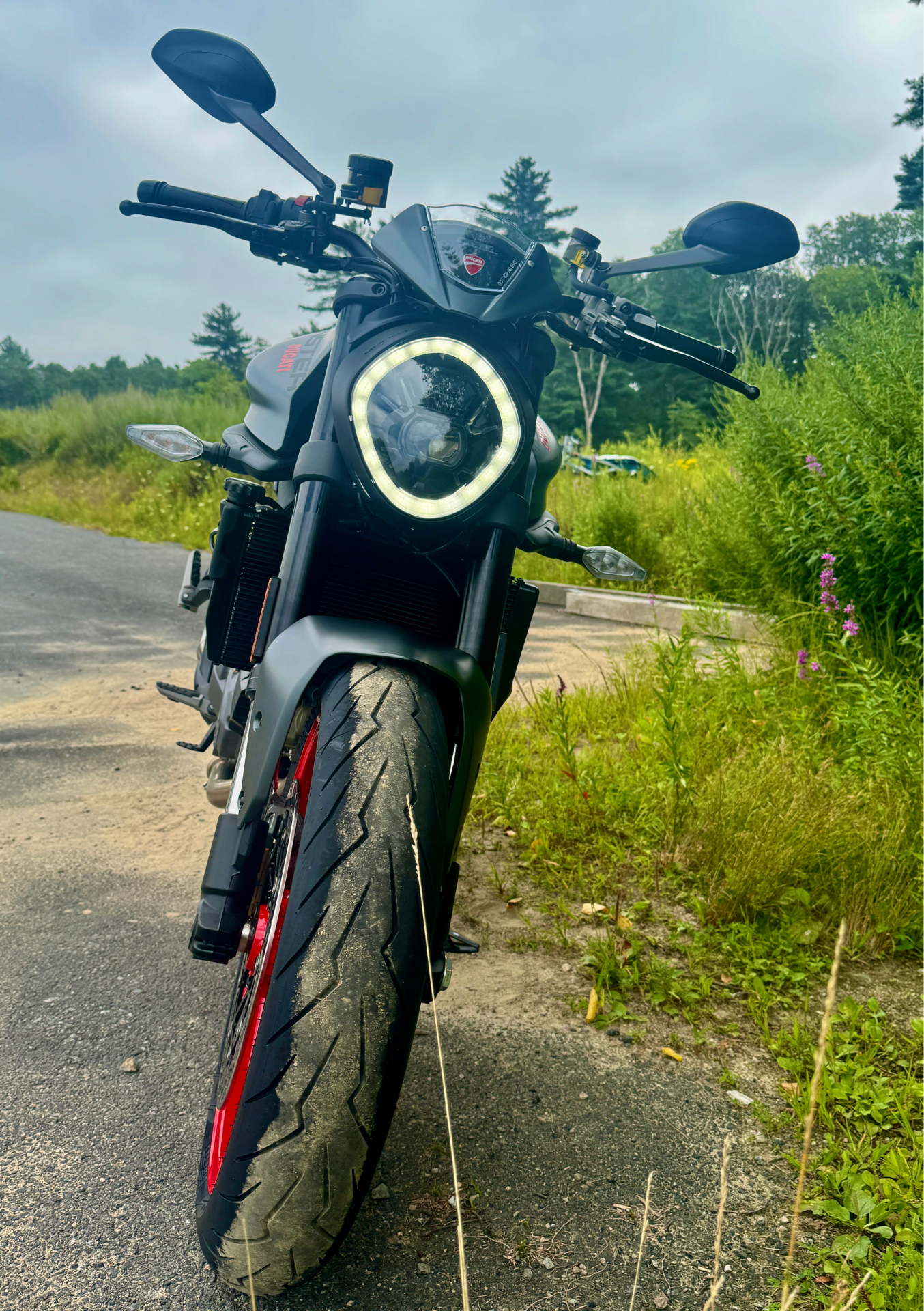 2025 Ducati Monster + in Foxboro, Massachusetts - Photo 9
