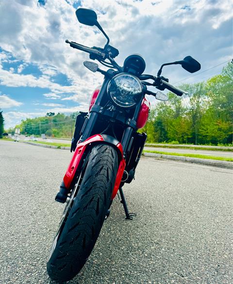2025 Triumph Trident 660 in Foxboro, Massachusetts - Photo 18