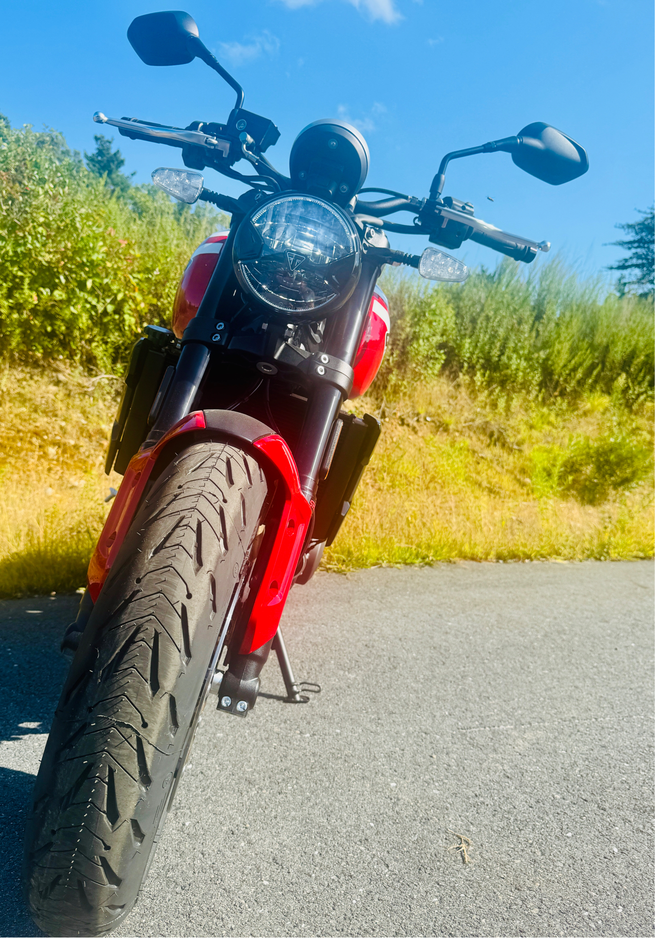 2025 Triumph Trident 660 in Foxboro, Massachusetts - Photo 16