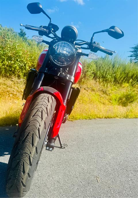 2025 Triumph Trident 660 in Foxboro, Massachusetts - Photo 16