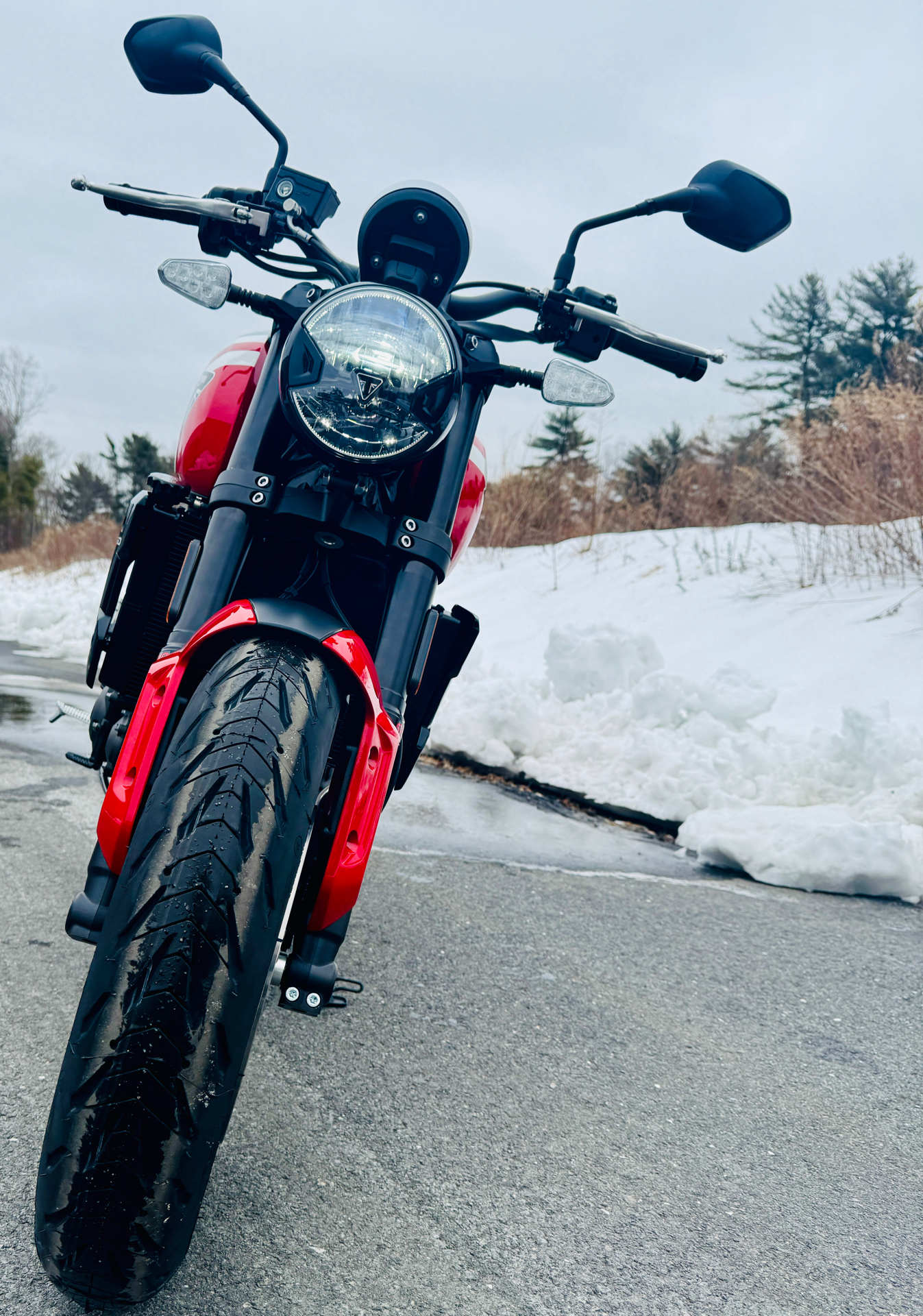 2025 Triumph Trident 660 in Foxboro, Massachusetts - Photo 11