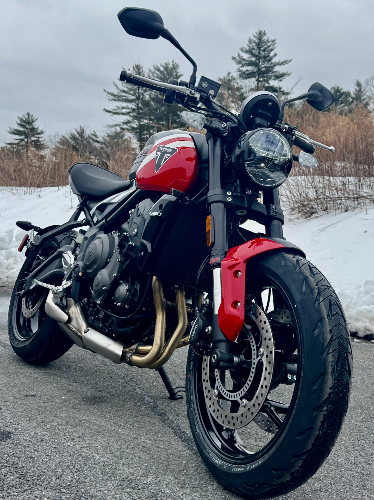 2025 Triumph Trident 660 in Foxboro, Massachusetts - Photo 3
