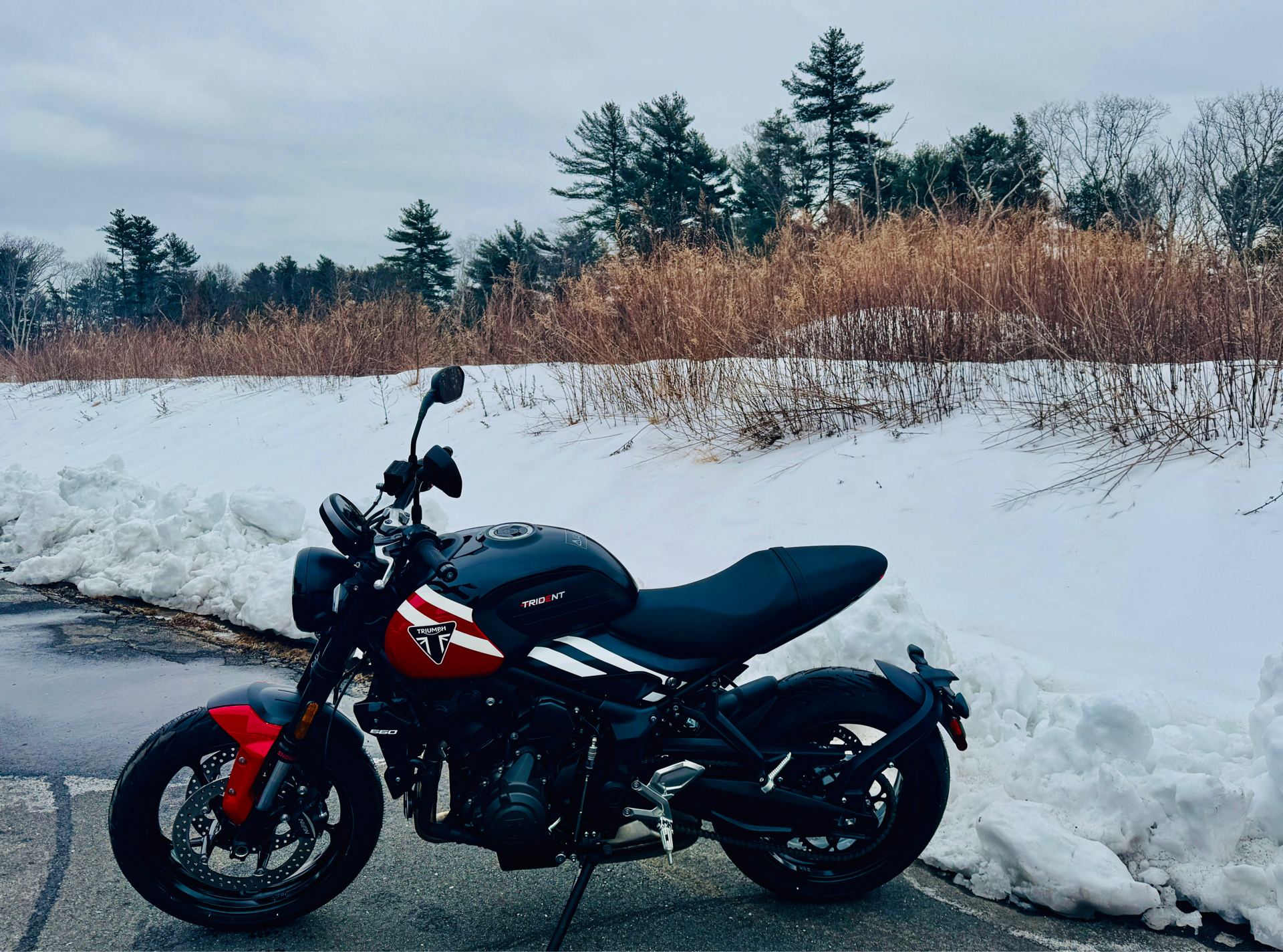 2025 Triumph Trident 660 in Foxboro, Massachusetts - Photo 19