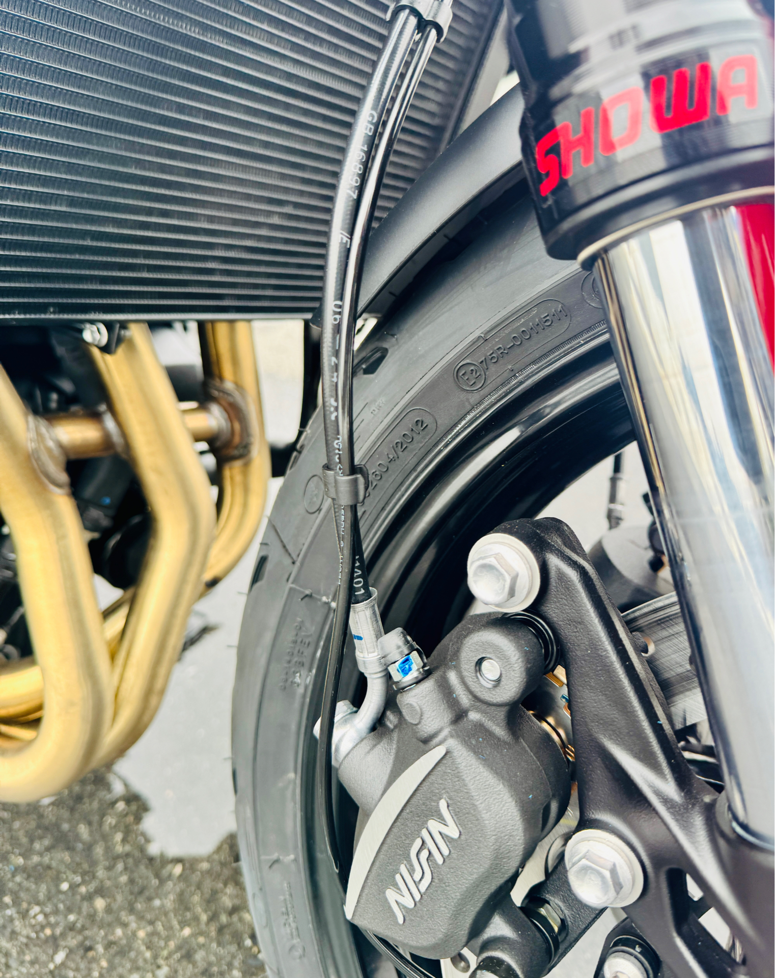 2025 Triumph Trident 660 in Foxboro, Massachusetts - Photo 6