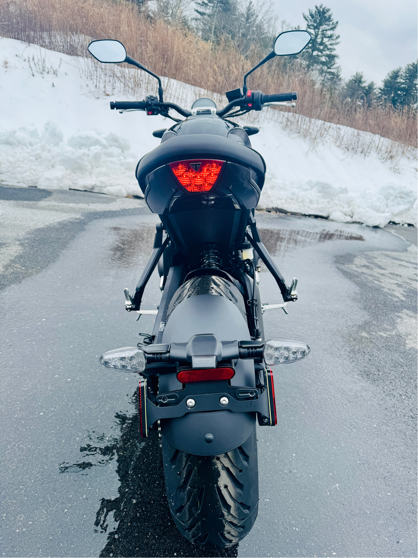 2025 Triumph Trident 660 in Foxboro, Massachusetts - Photo 17