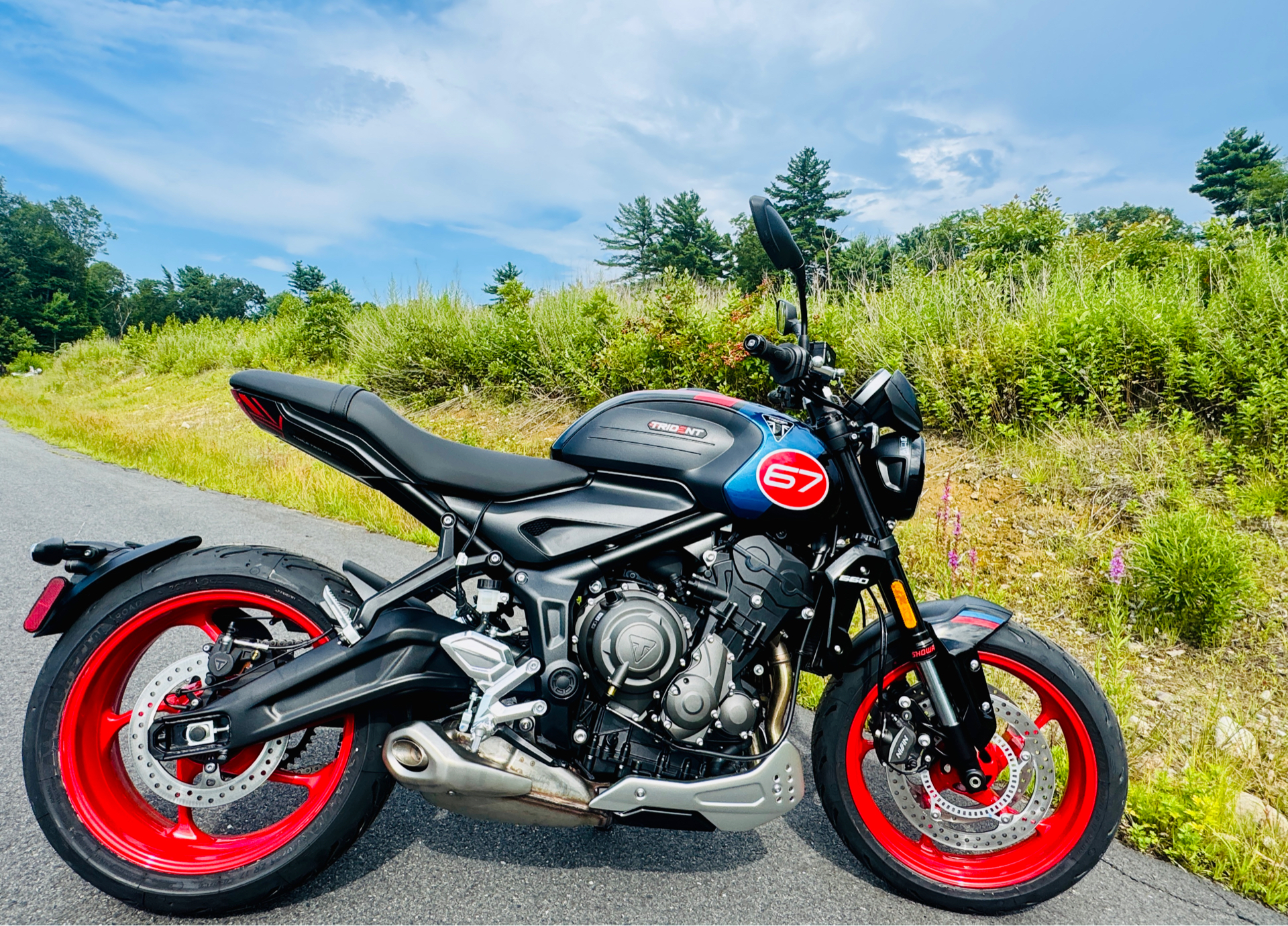 2026 Triumph Trident 660 Triple Tribute Edition in Foxboro, Massachusetts - Photo 1