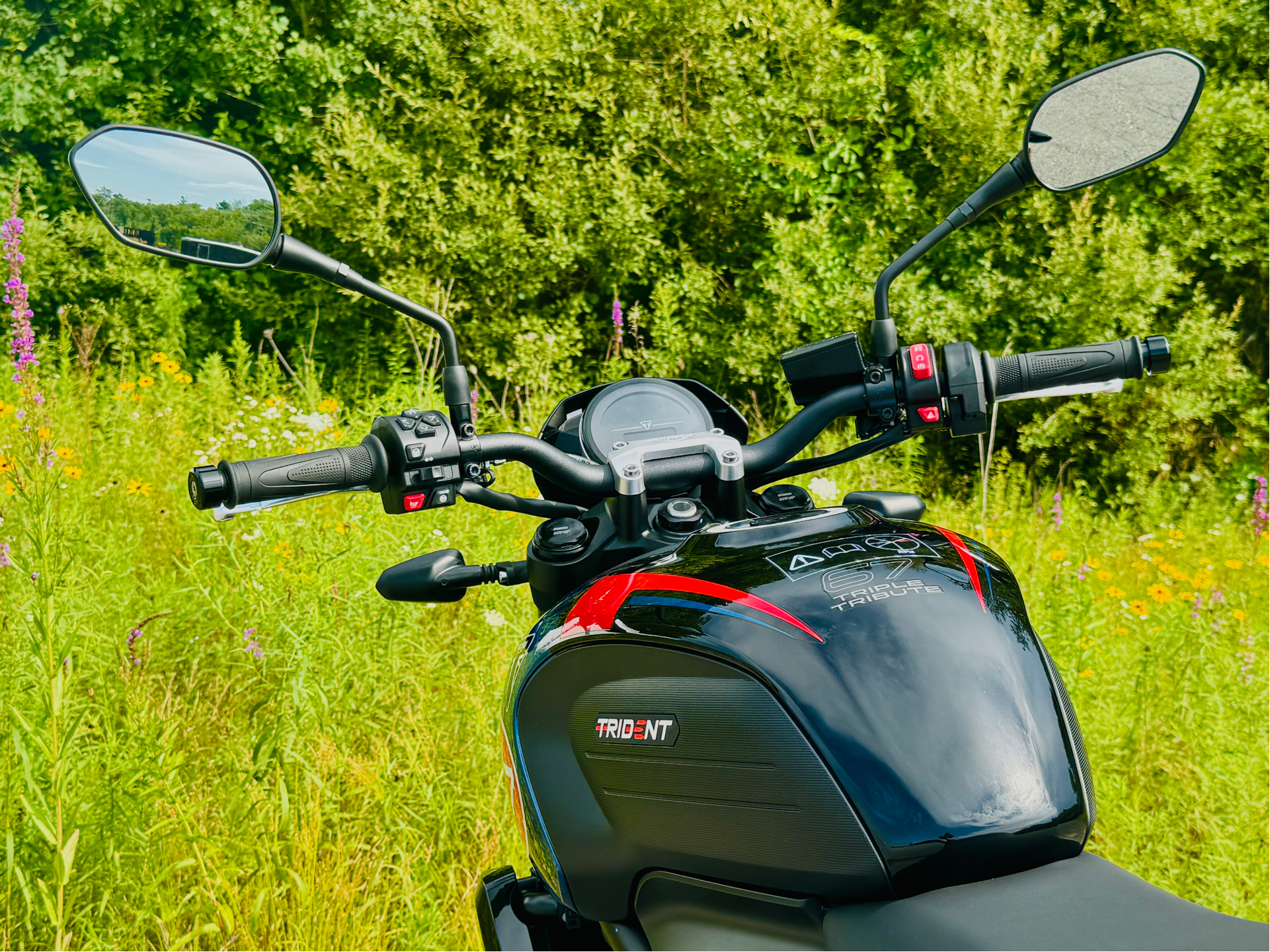 2026 Triumph Trident 660 Triple Tribute Edition in Foxboro, Massachusetts - Photo 24