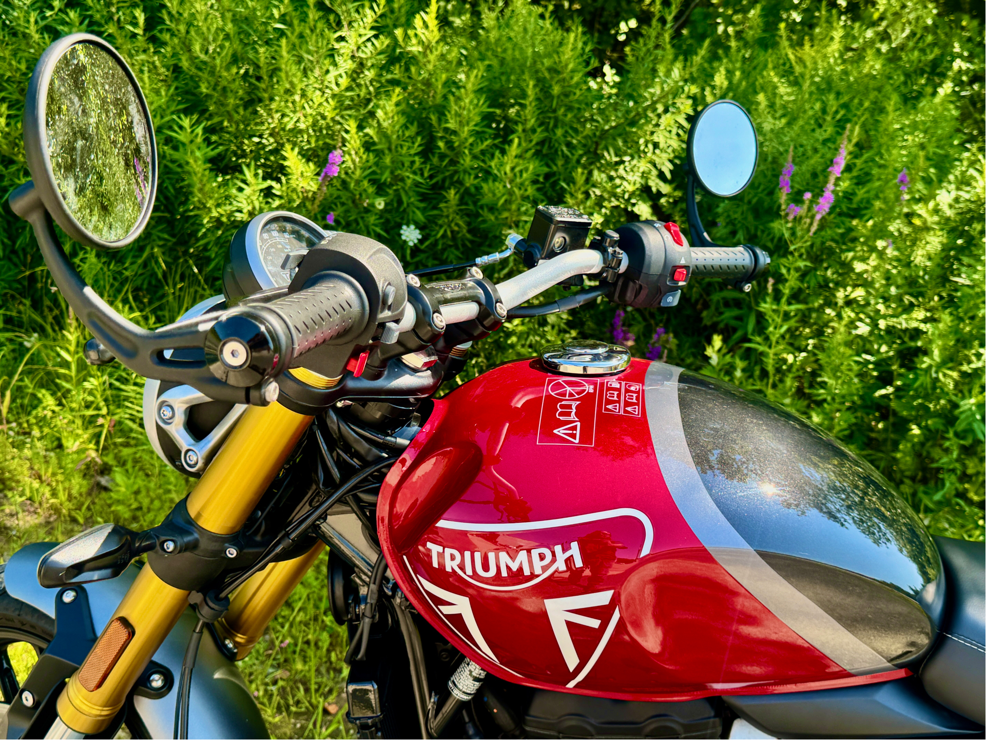 2024 Triumph Speed 400 in Foxboro, Massachusetts - Photo 12