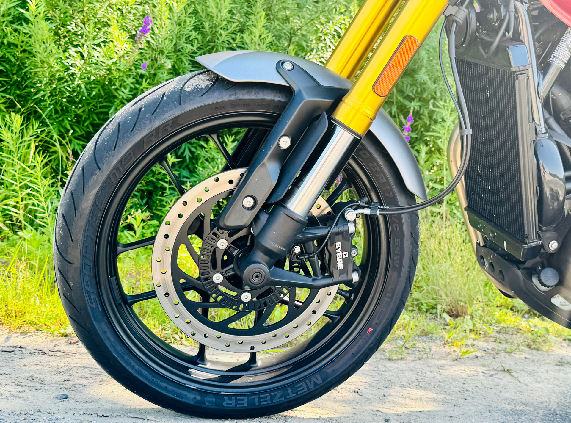 2024 Triumph Speed 400 in Foxboro, Massachusetts - Photo 19