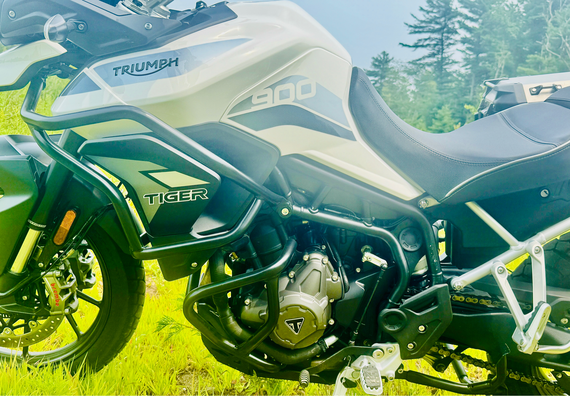 2022 Triumph Tiger 900 GT Low in Foxboro, Massachusetts - Photo 19