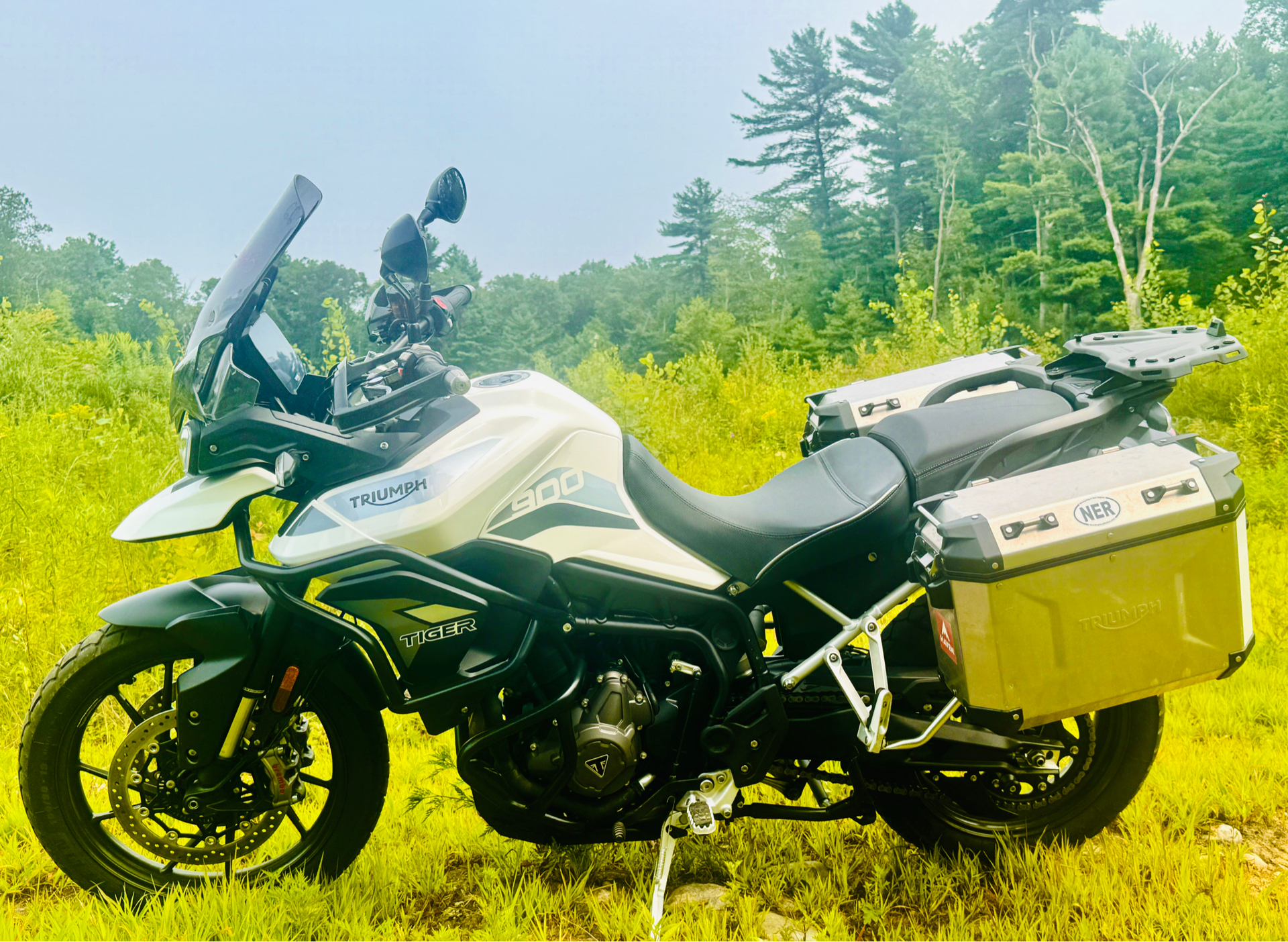 2022 Triumph Tiger 900 GT Low in Foxboro, Massachusetts - Photo 15