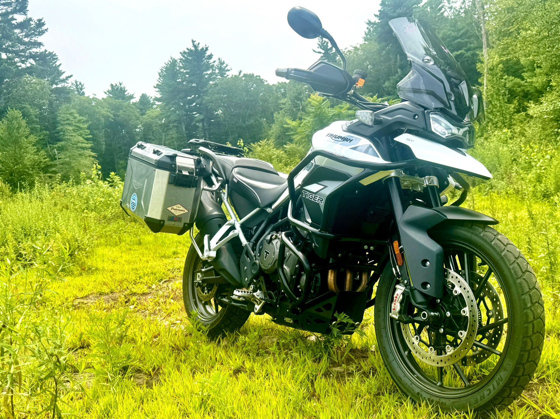 2022 Triumph Tiger 900 GT Low in Foxboro, Massachusetts - Photo 1