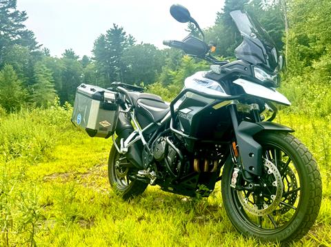 2022 Triumph Tiger 900 GT Low in Foxboro, Massachusetts - Photo 1
