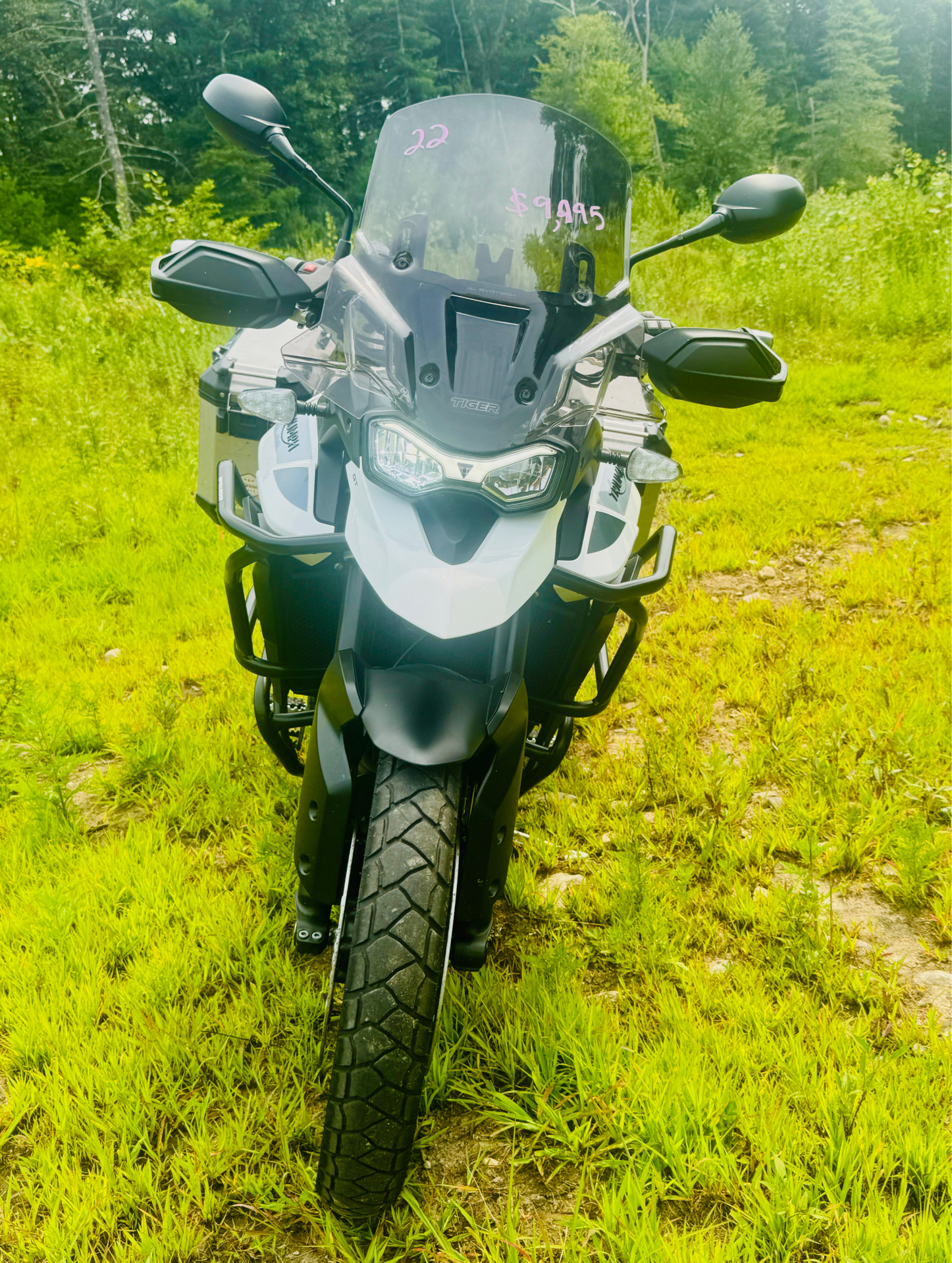 2022 Triumph Tiger 900 GT Low in Foxboro, Massachusetts - Photo 9