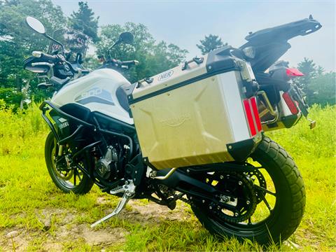 2022 Triumph Tiger 900 GT Low in Foxboro, Massachusetts - Photo 13