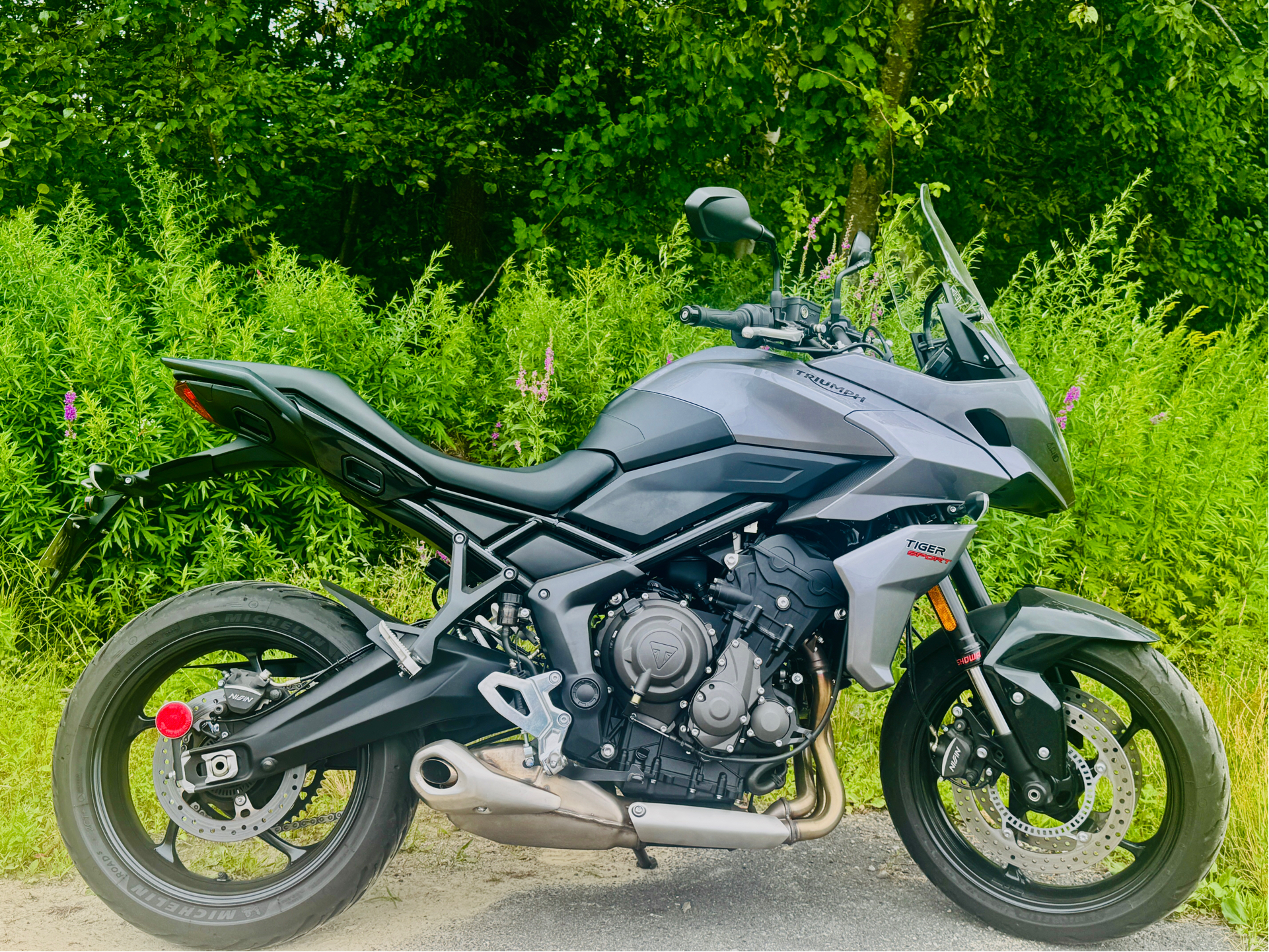 2022 Triumph Tiger Sport 660 in Foxboro, Massachusetts - Photo 7