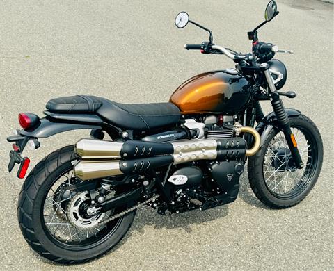 2024 Triumph Scrambler 900 in Foxboro, Massachusetts - Photo 7