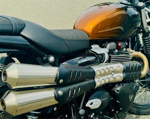 2024 Triumph Scrambler 900 in Foxboro, Massachusetts - Photo 8