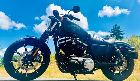 2018 Harley-Davidson Iron 883™ in Foxboro, Massachusetts - Photo 3