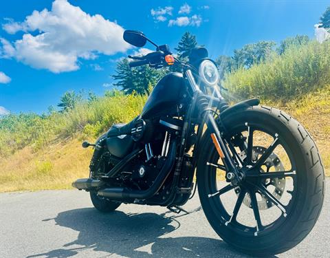 2018 Harley-Davidson Iron 883™ in Foxboro, Massachusetts - Photo 13
