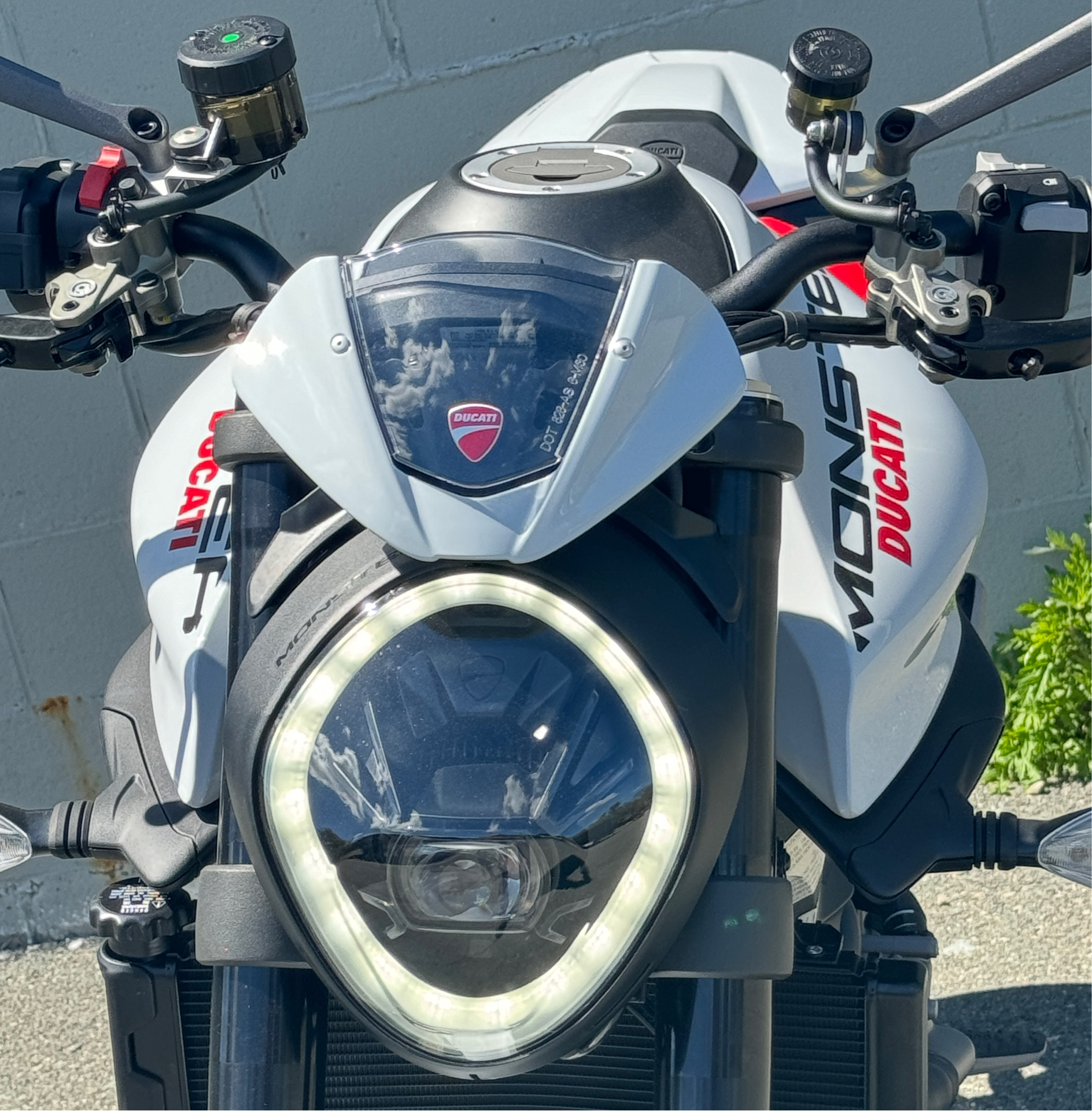 2024 Ducati Monster + in Foxboro, Massachusetts - Photo 3