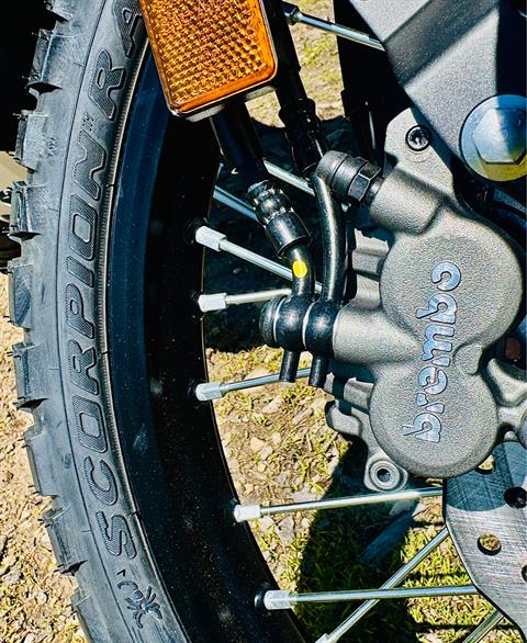 2025 Yamaha Ténéré 700 in Foxboro, Massachusetts - Photo 14