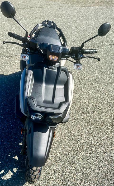 2024 Yamaha Zuma 125 in Foxboro, Massachusetts - Photo 6