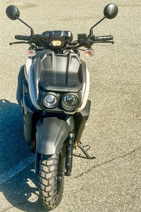 2024 Yamaha Zuma 125 in Foxboro, Massachusetts - Photo 12