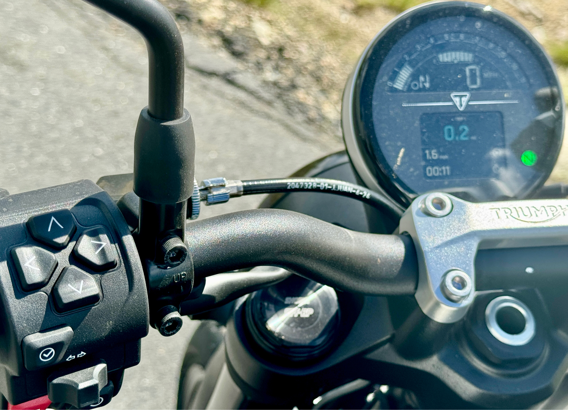 2025 Triumph Trident 660 in Foxboro, Massachusetts - Photo 2