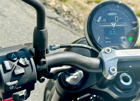2025 Triumph Trident 660 in Foxboro, Massachusetts - Photo 2