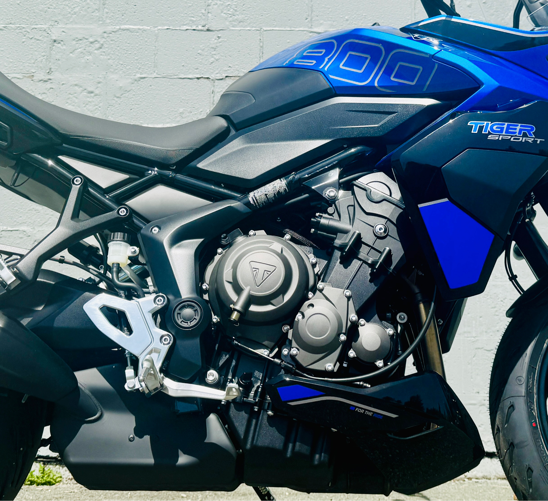 2025 Triumph Tiger Sport 800 in Foxboro, Massachusetts - Photo 19