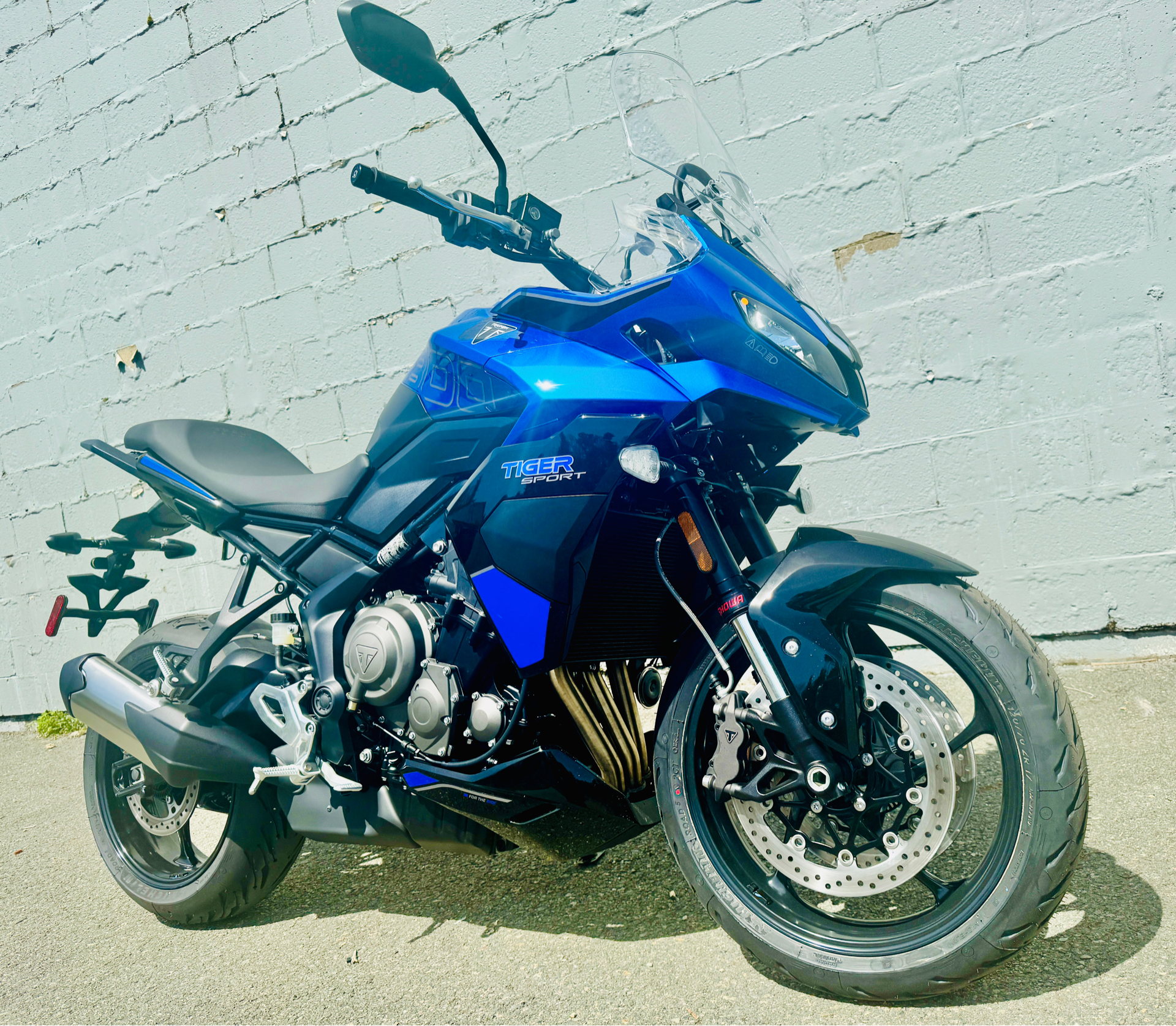 2025 Triumph Tiger Sport 800 in Foxboro, Massachusetts - Photo 1