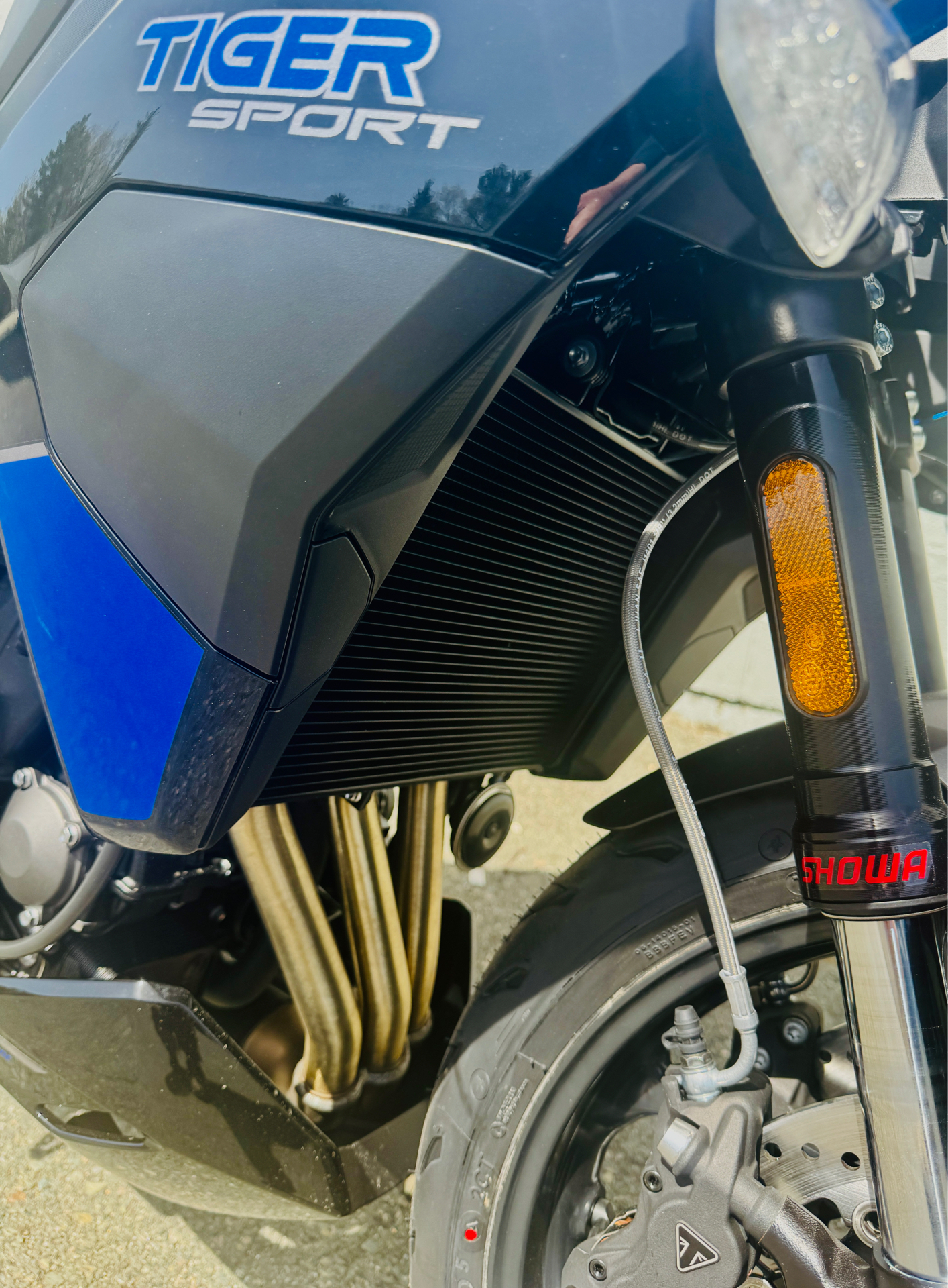 2025 Triumph Tiger Sport 800 in Foxboro, Massachusetts - Photo 5