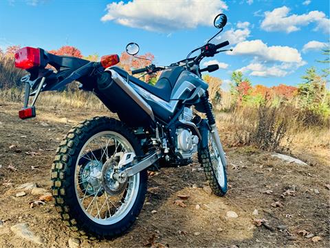 2025 Yamaha XT250 in Foxboro, Massachusetts - Photo 10